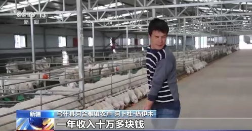 智慧養殖科技賦能 助力新疆畜牧業高質量發展